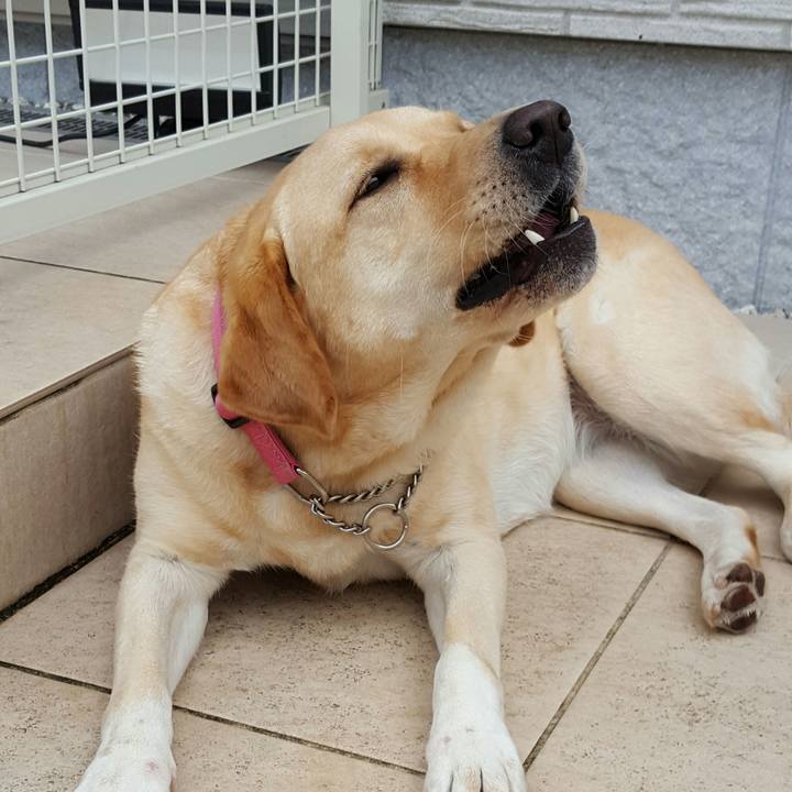 73e5516b d489 4d57 8cdd 37b871d6f259