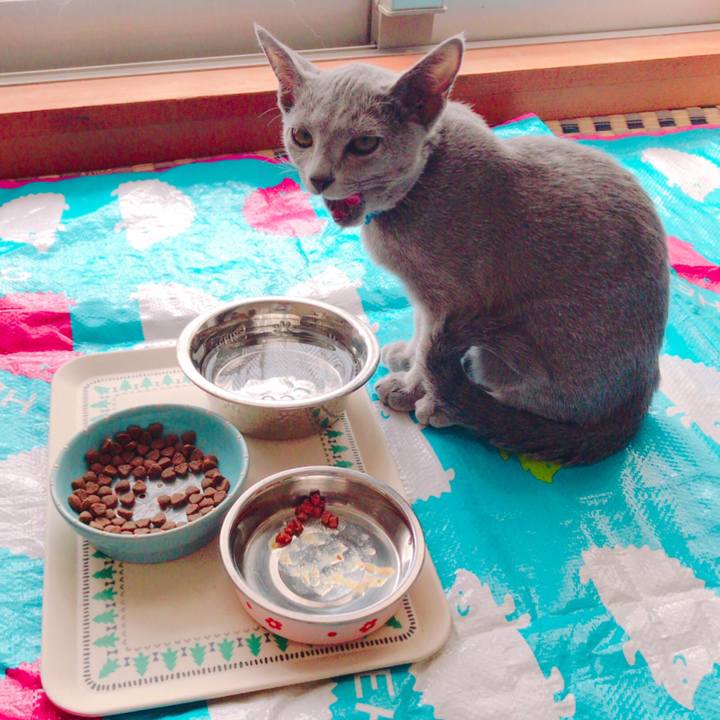 73e59dcd 33b7 4031 bad1 faa13183cbdb