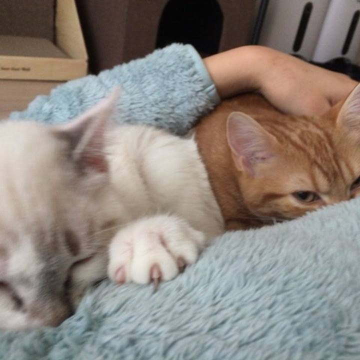 73e5f2c6 57bb 41f7 82a5 b485ff607cdc