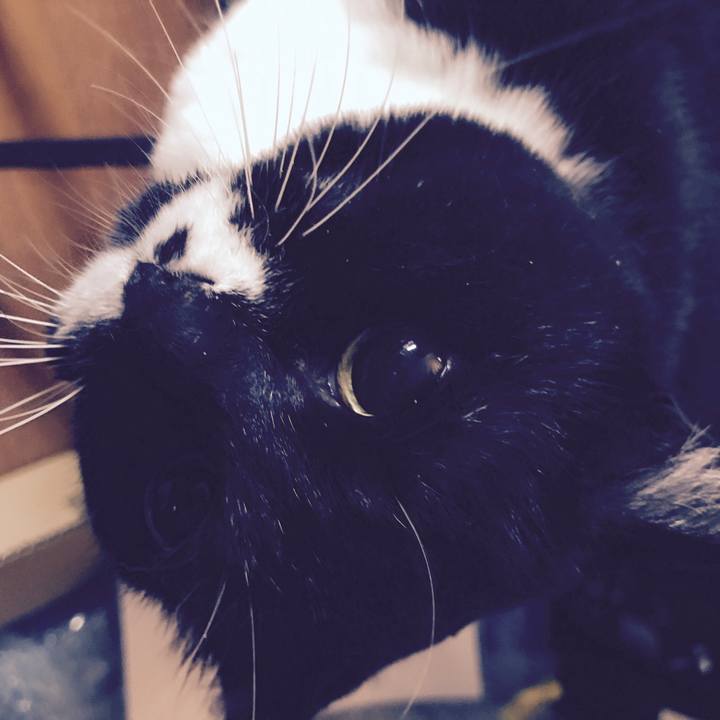 73e6018b 4d45 44dc 8e4b 20aaa753df25