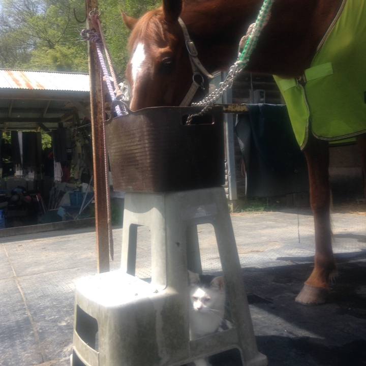 73e6ffae a2c6 41ae b037 8ad1b7baa0f4