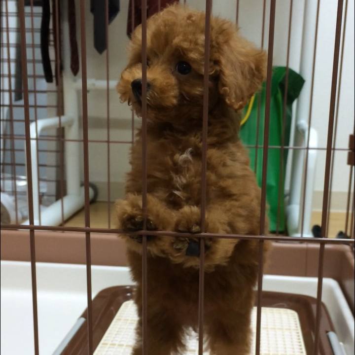 73e709e7 61c8 470f a926 60bc37406984