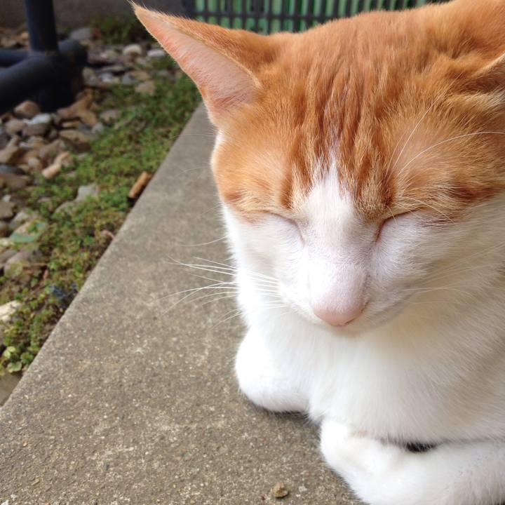 73e756fb 17a7 434d a925 c30901b87b7c