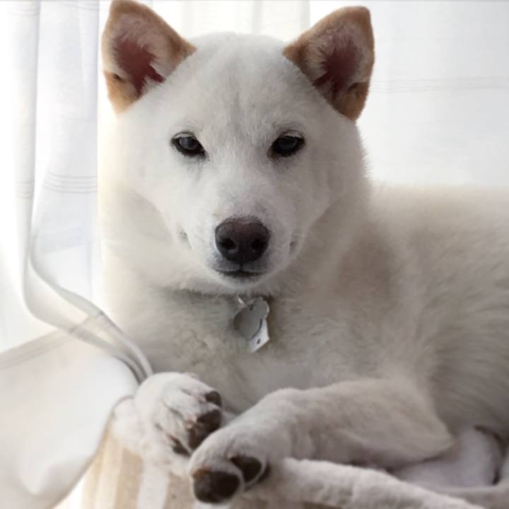 73e765e0 2789 4560 abfd d2b28dceee9a