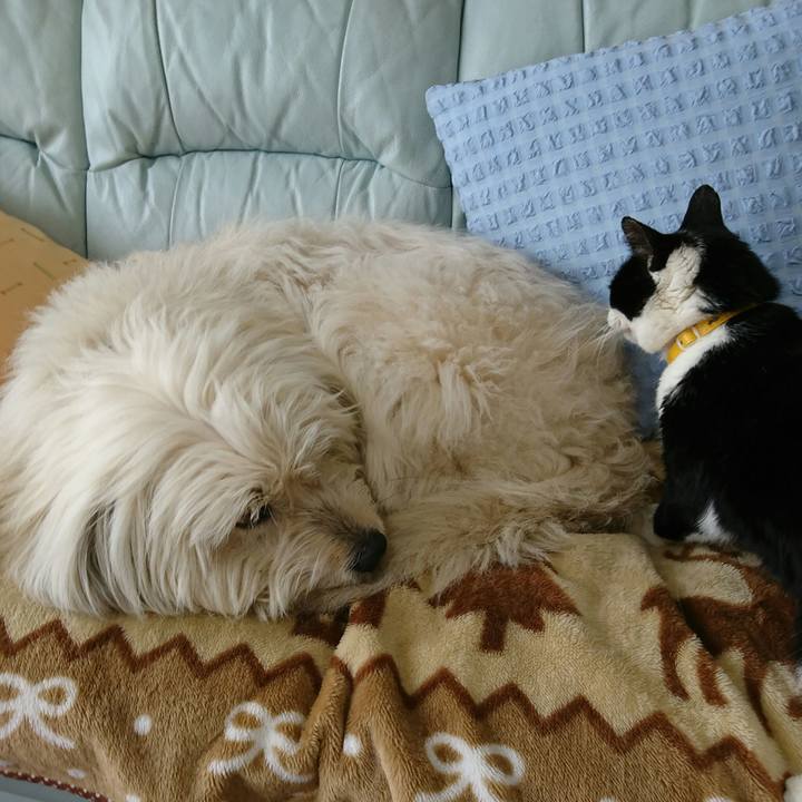 73e76adf 794c 4518 8f15 396aa62c9b00