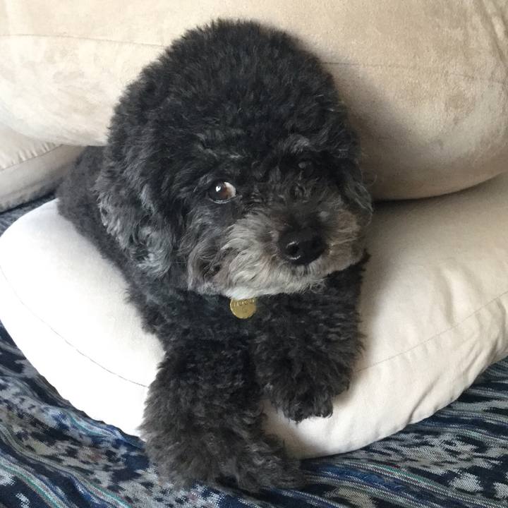 73e77e23 50e7 48a9 a450 7b87057d29c5