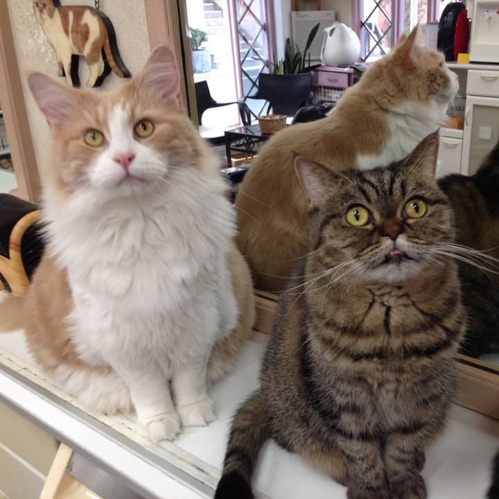 73e796fe d6bf 4cf5 b682 40a0d1bb083a