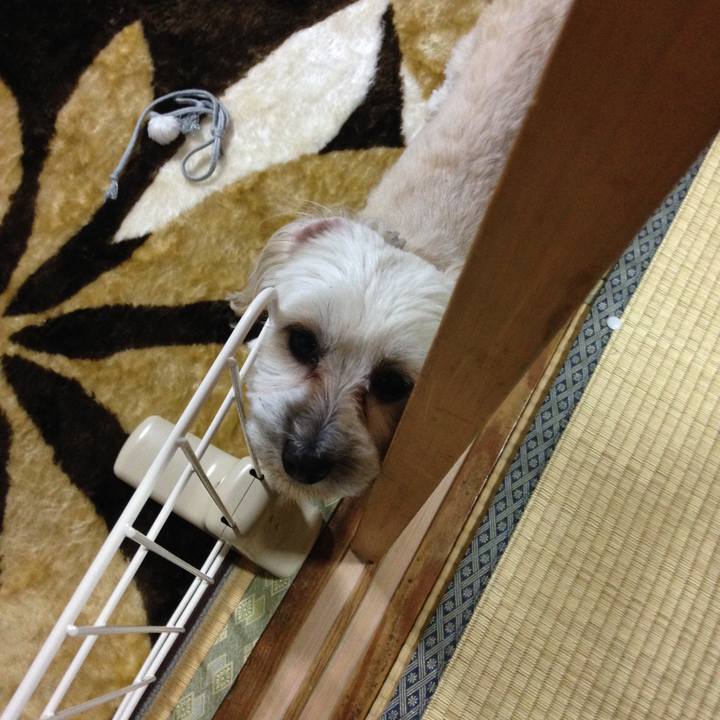 73e898c8 8b11 4b24 8a37 b7b4955392df