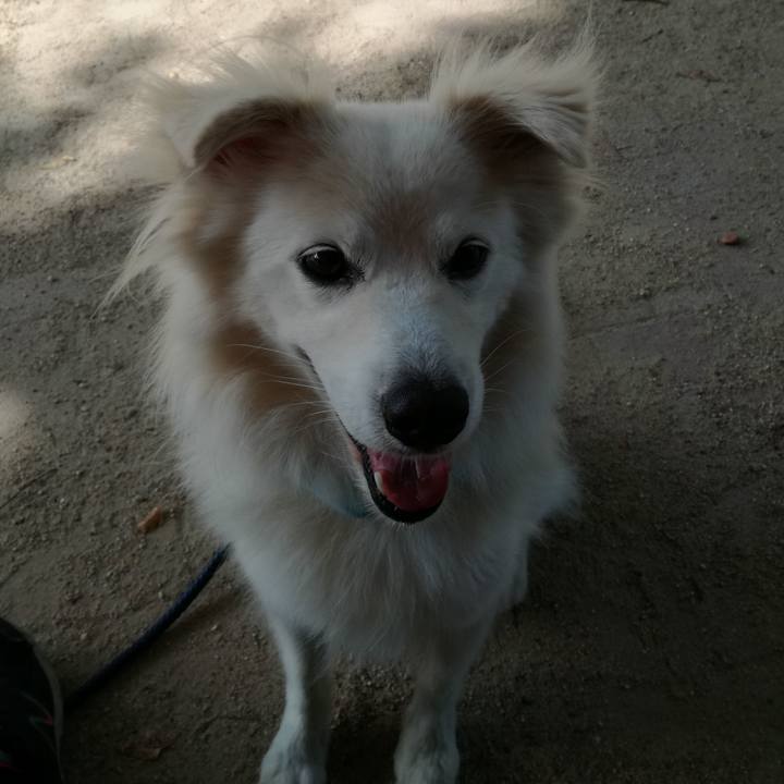 73e93aff eb36 4a65 ae24 0b01d27384ac