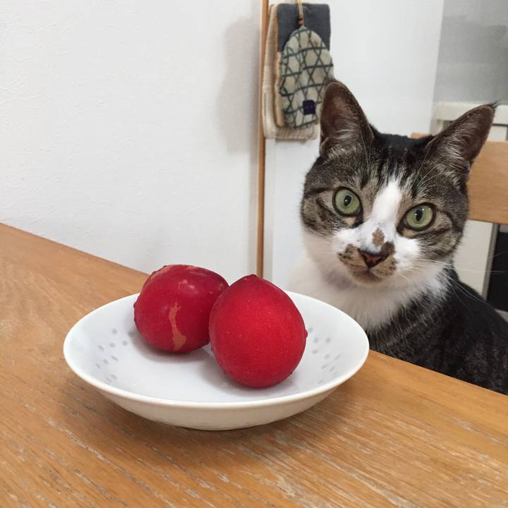 73e93c12 ec45 442f bd07 1e5b47b8e72f