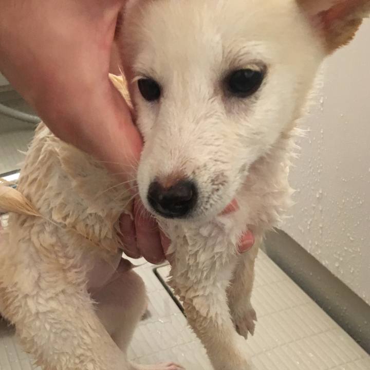 73e9c382 67db 4d63 9c6d 358271ec1999