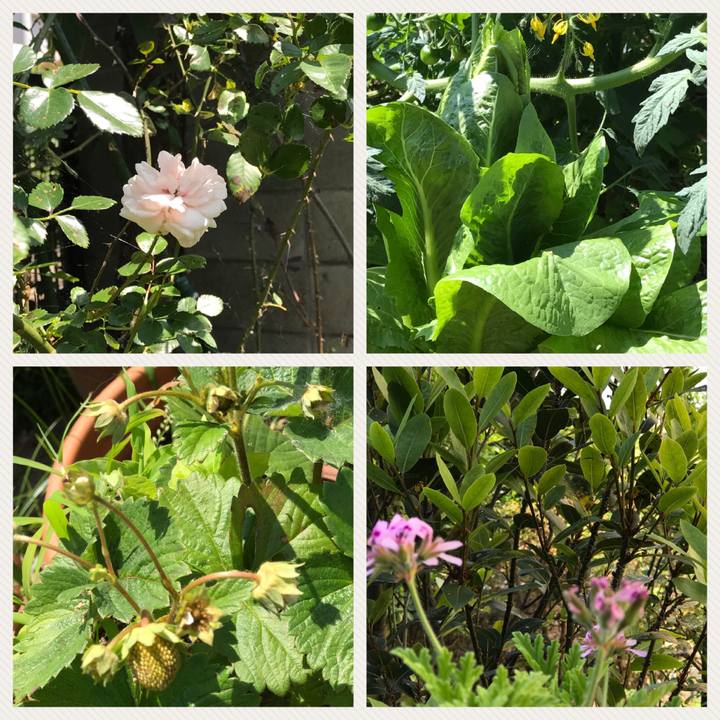 73ea8beb bcbd 4622 9a28 e61d1f726c84