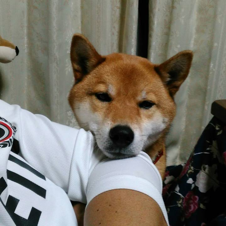 73eb03fe f557 4d82 b243 b4482c926f6e