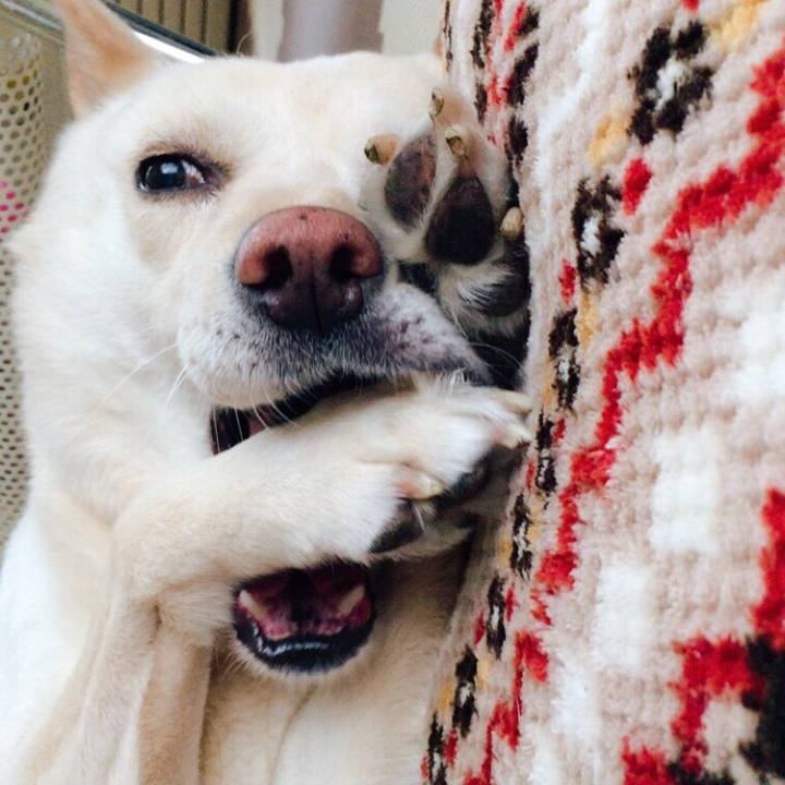 73eb2e98 a7e2 4098 b8e9 496aeb9327a5