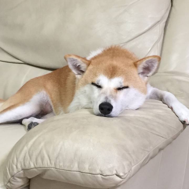 73eb5843 2860 4fe8 a7b3 8b8a3a2c2983