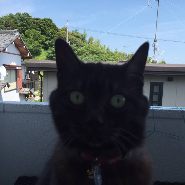 73ec6fa7 c141 4a89 b53b a742619b3a5e