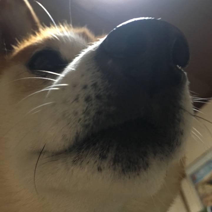 73ed7e2b 00c7 4cdf a3e5 c62fde6201a1