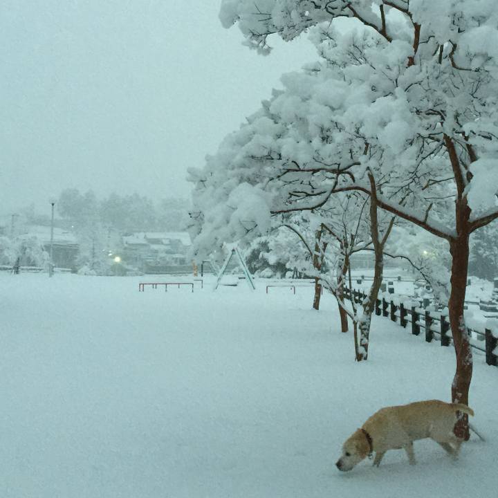 73ede23b f4ae 4ebf adf0 3253cdde8ded