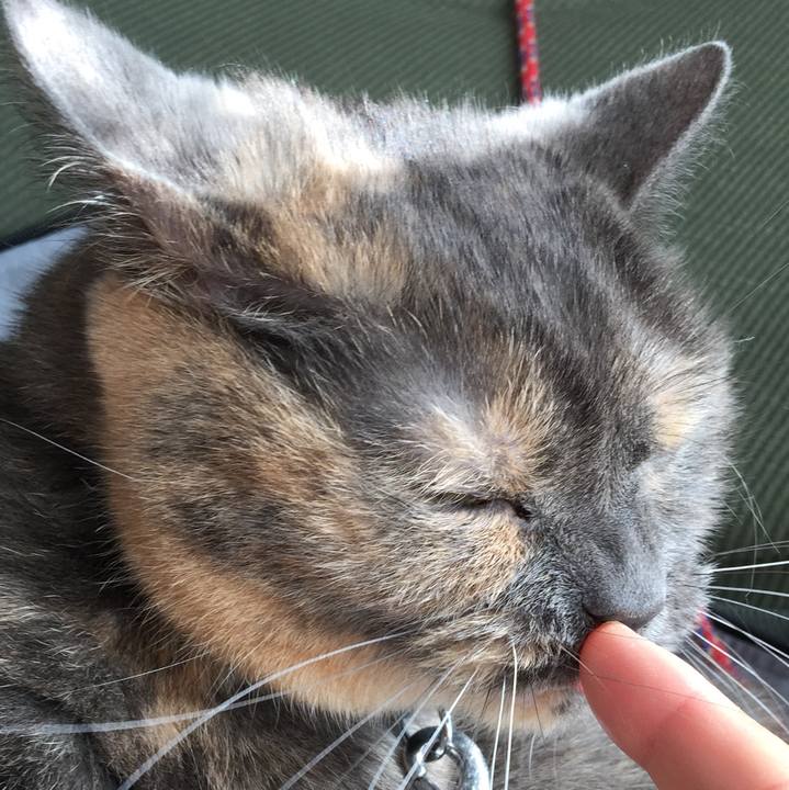 73ef2ab2 d761 4dcb be8a 5eafa1ecd5c4