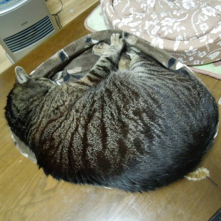 73ef520a 0e6f 4cb4 8e34 0ce0ef9eff8c