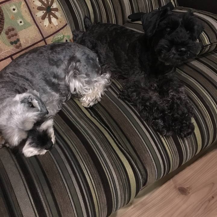 73f01177 a2e7 4c33 b747 3ce25412b453