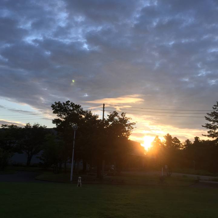 73f10d25 ba84 445f b980 c7b614834698