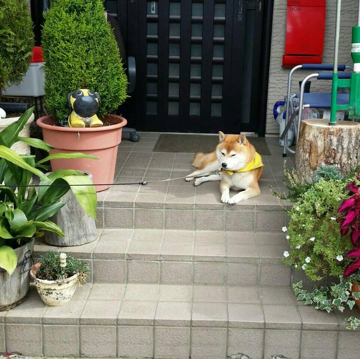 73f1c7fb c360 46b2 b3b8 9bb678936a6d