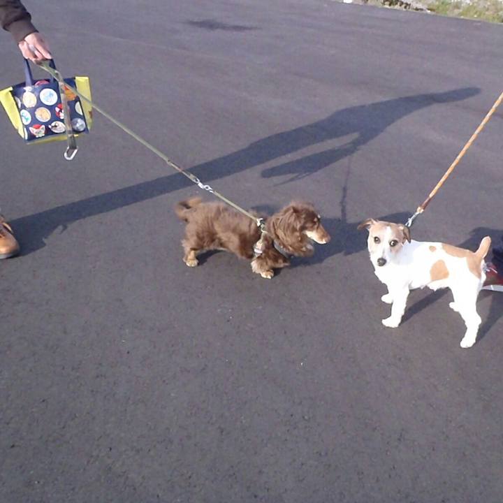 73f1d00d 1d6a 47af b9af 6959b4dae1c1