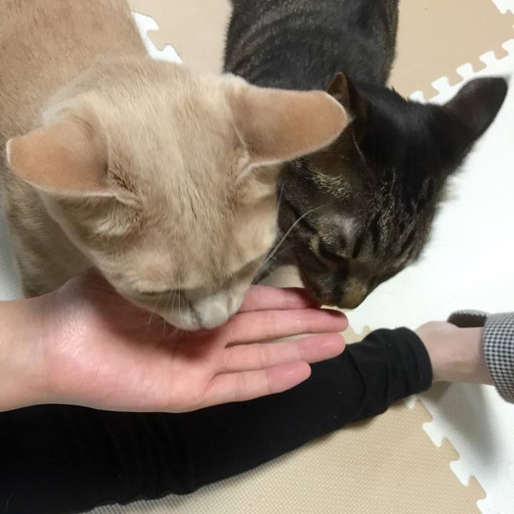 73f25492 3d77 4370 890e e7b934941ebf