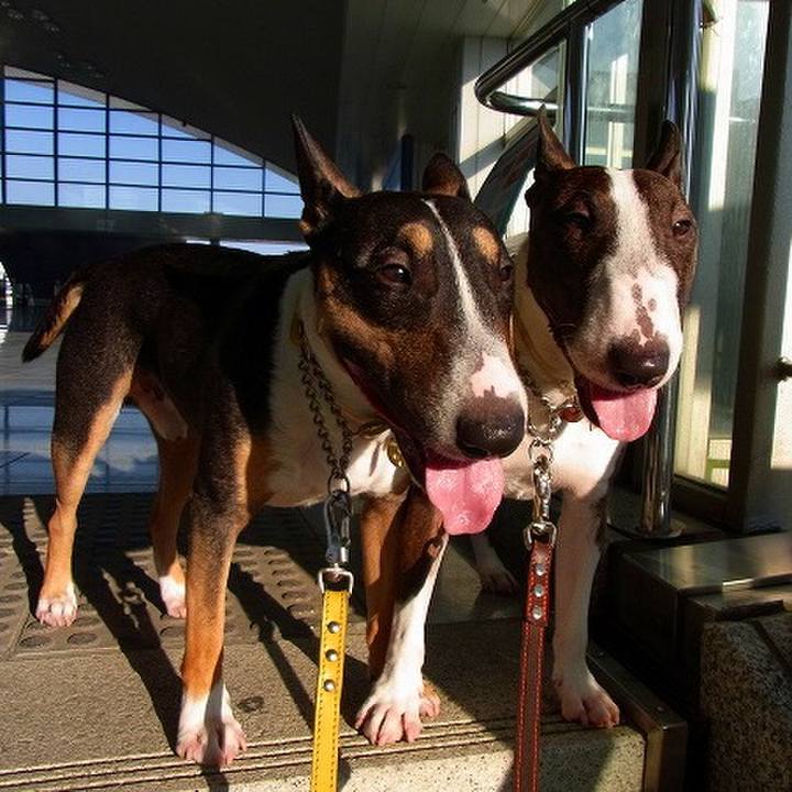 73f29b16 6a6f 48ec b260 e5a80855a76c