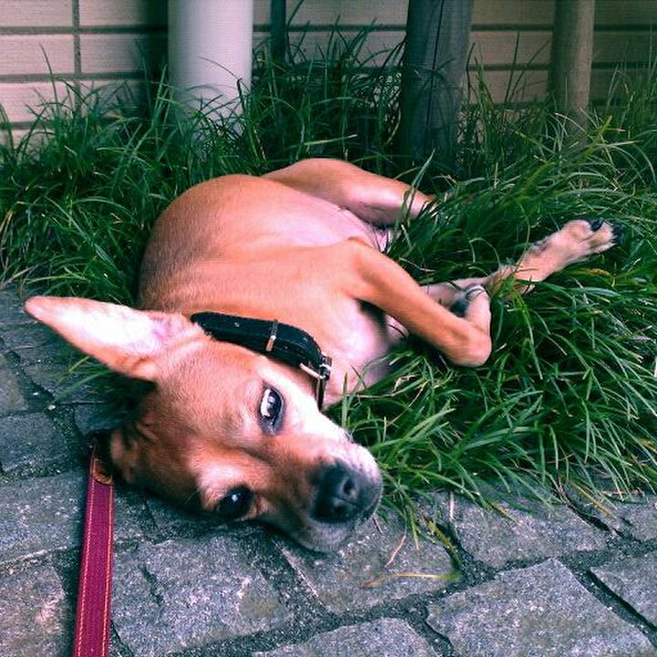 73f2b5a5 c4d0 4195 a7ae cf07494de385