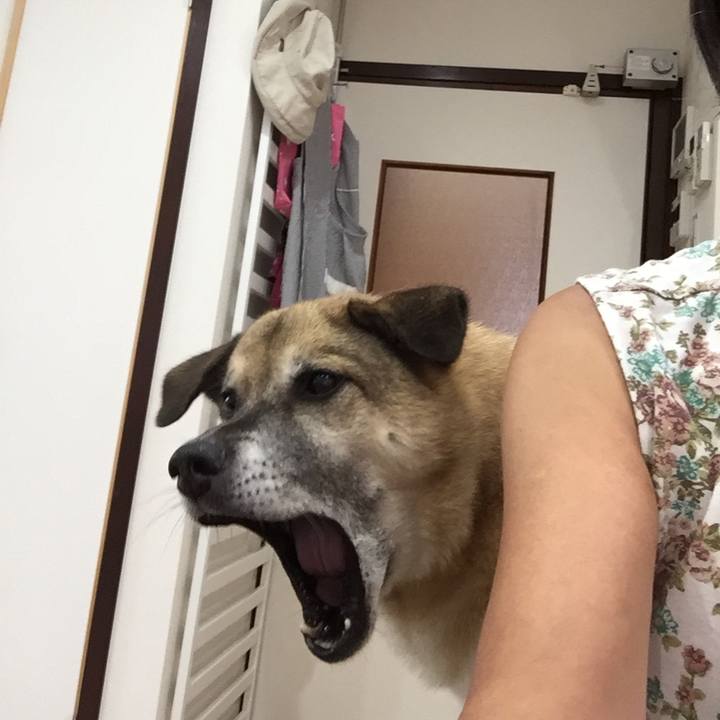 73f2e240 4cdf 4658 a5da 851f03acf2cc