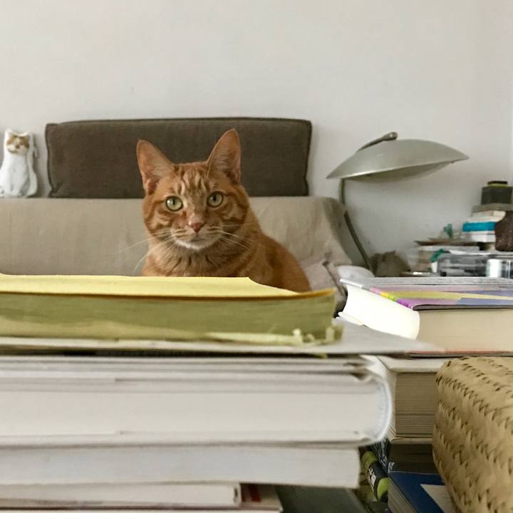 73f2f302 47ae 4441 bed1 bec090e32e82