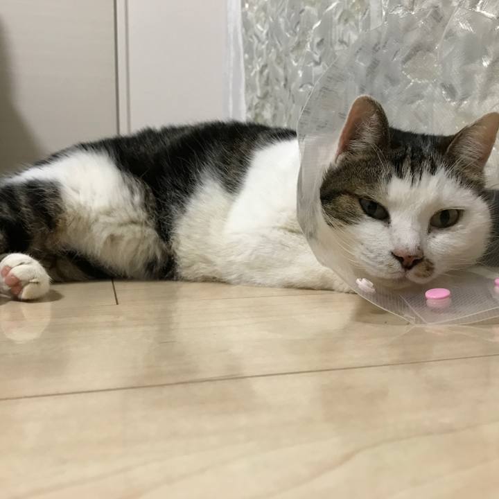 73f41068 0fcf 4e42 8962 3eb3122c6ed3