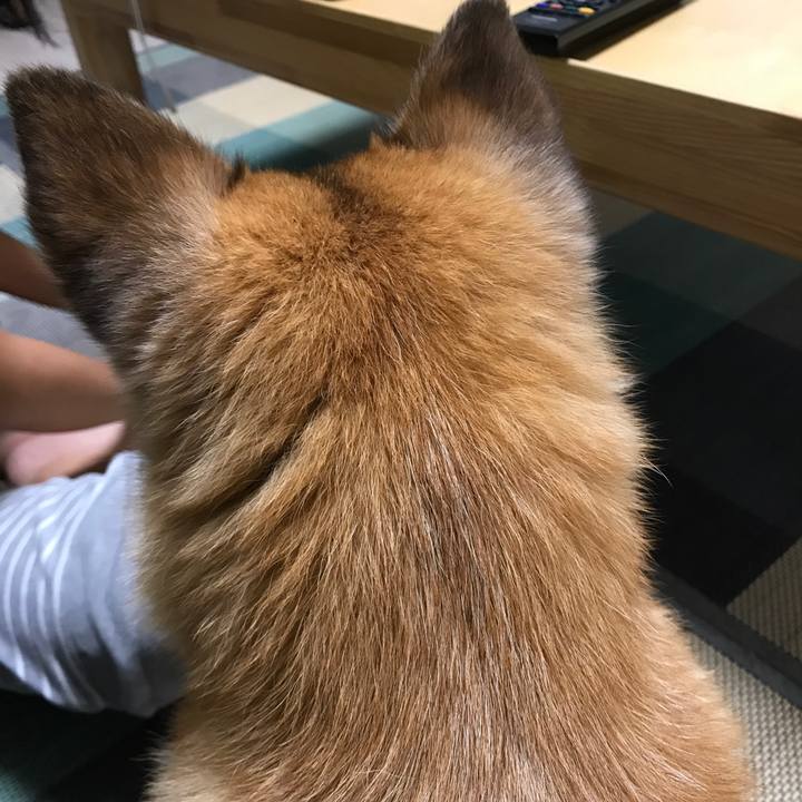 73f4d523 be67 490e 8a07 a75536d11e82