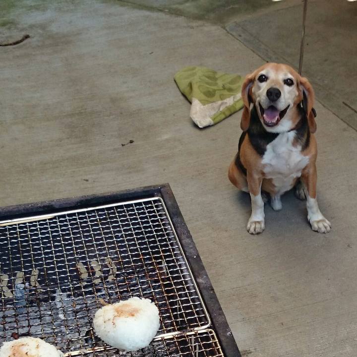 73f4f529 53f8 42e9 bf38 e2051e01b630