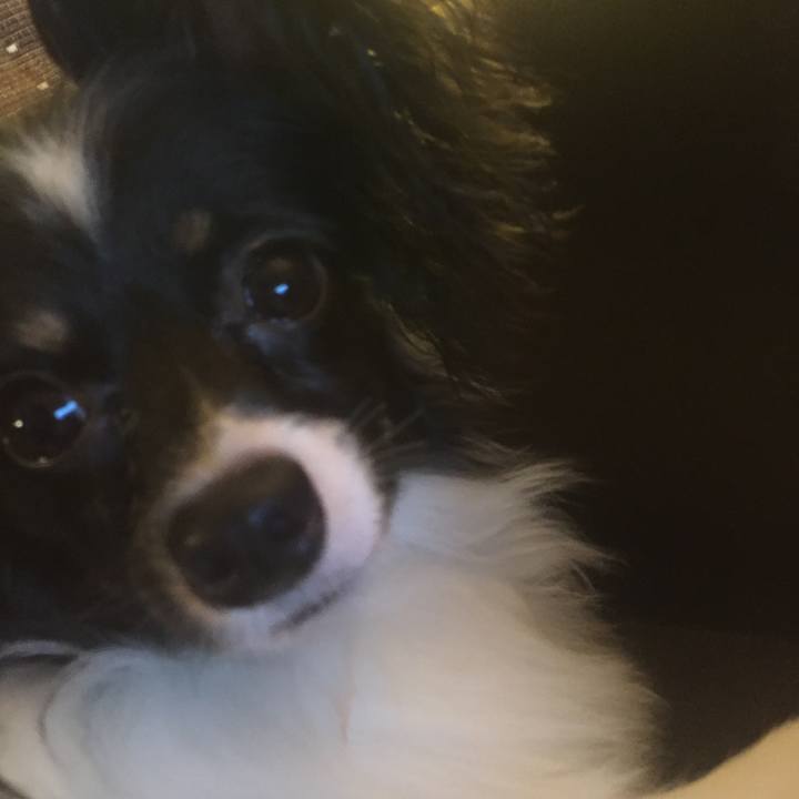 73f5a315 a45b 4d7c a556 386ee319dbc2