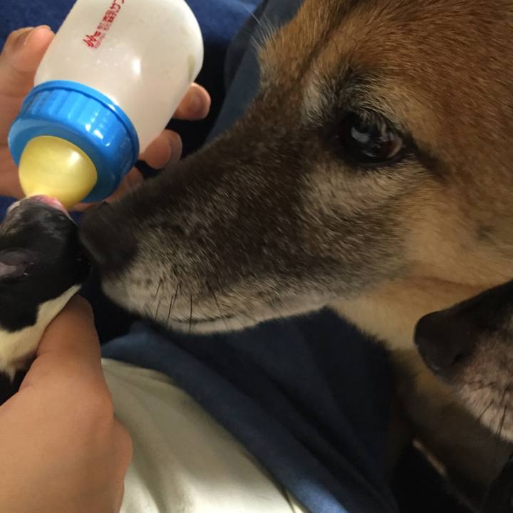 73f5c876 c4d3 45de 8104 740668949a8e