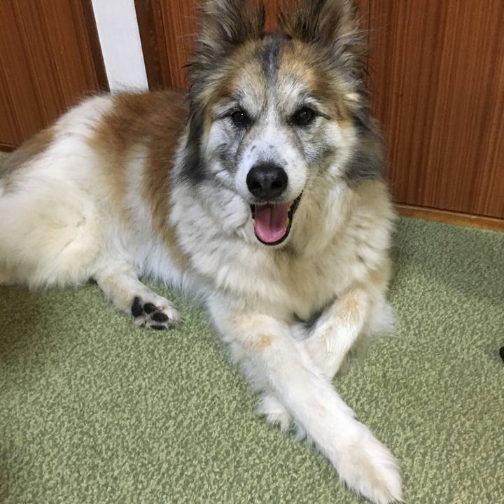 73f5f410 886b 4e08 a574 a29672b7e4be