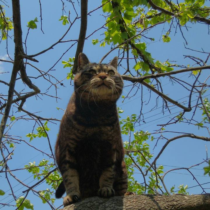 73f6cc82 fe6a 45bf 9c40 3d3de0aa2b11