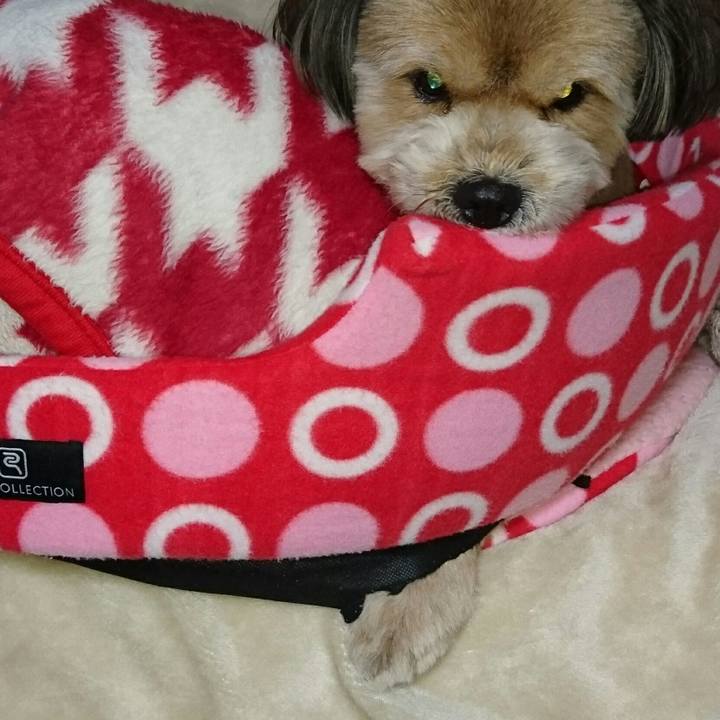 73f6dbdb 21e9 4ac6 8990 762e61e10194