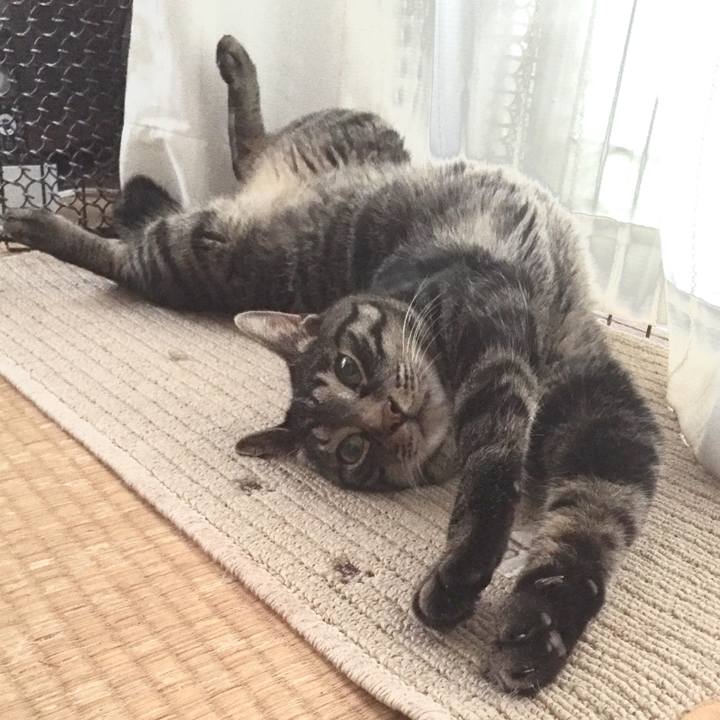 73f764a2 b9b4 4c81 8223 935655fae7cd