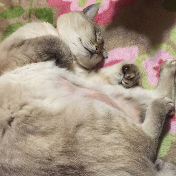 73f78d95 06e4 4ba7 a491 6e9e4ee450e9