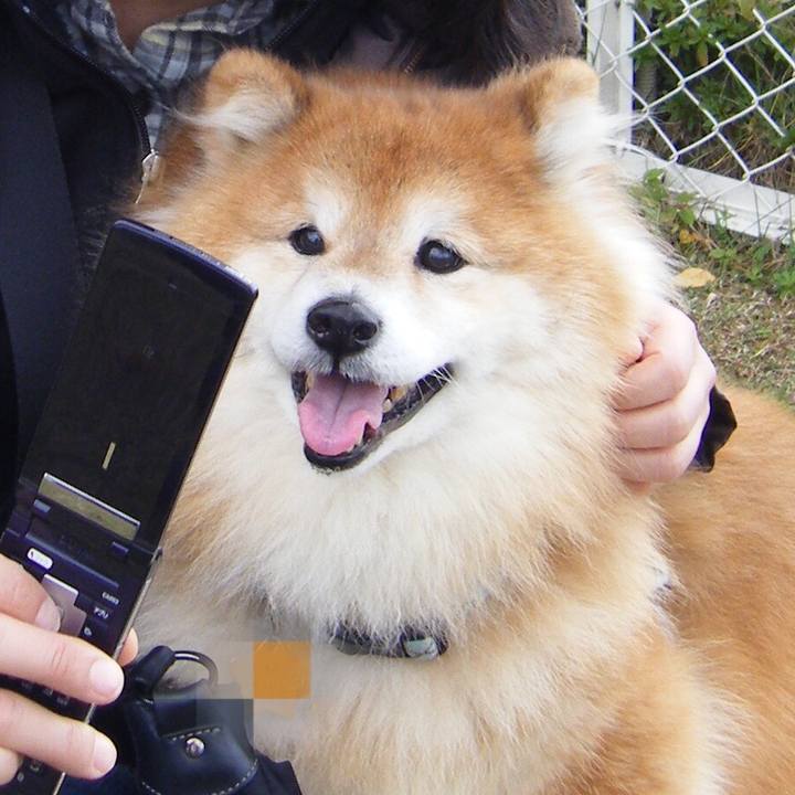 73f86276 19cd 4c76 be27 8d021b0f2713