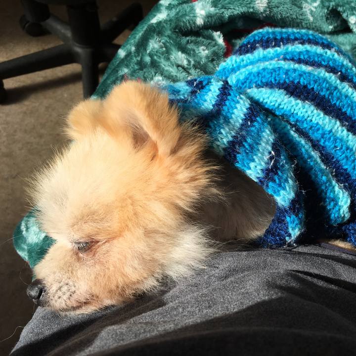 73f92979 74a8 487b 83b2 69abc48061d7