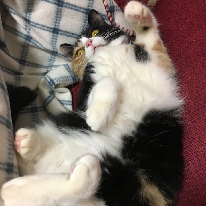 73f97a81 10ba 42c2 a71d 92d0a4fc4d23