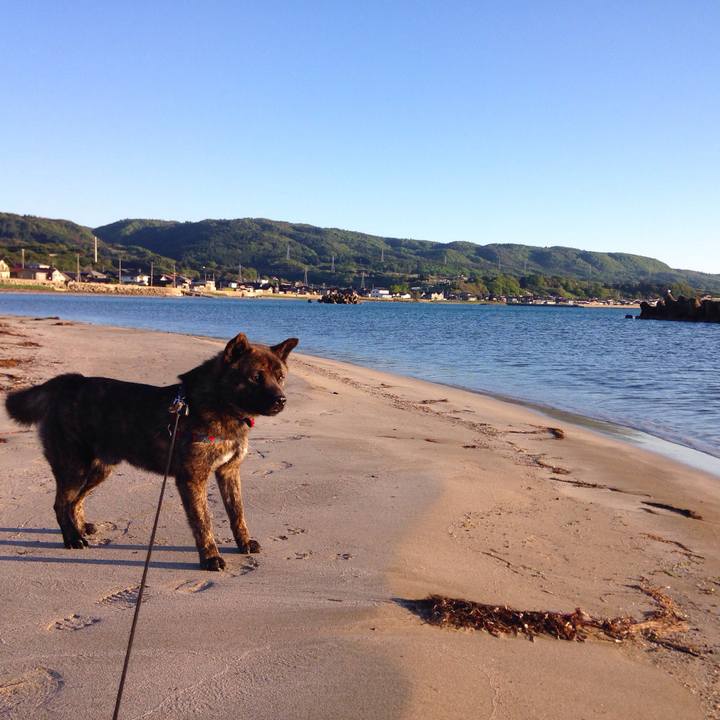 73f9b1e9 eccf 4247 89ec f516a9eeff6e