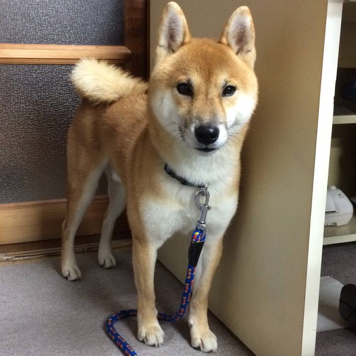 73fbbcda 2b31 4b1e 90c0 f87c986df474