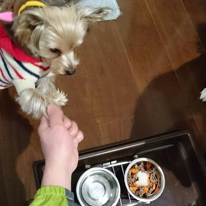 73fc1462 2f36 4897 b70b 13ff7a1804fb