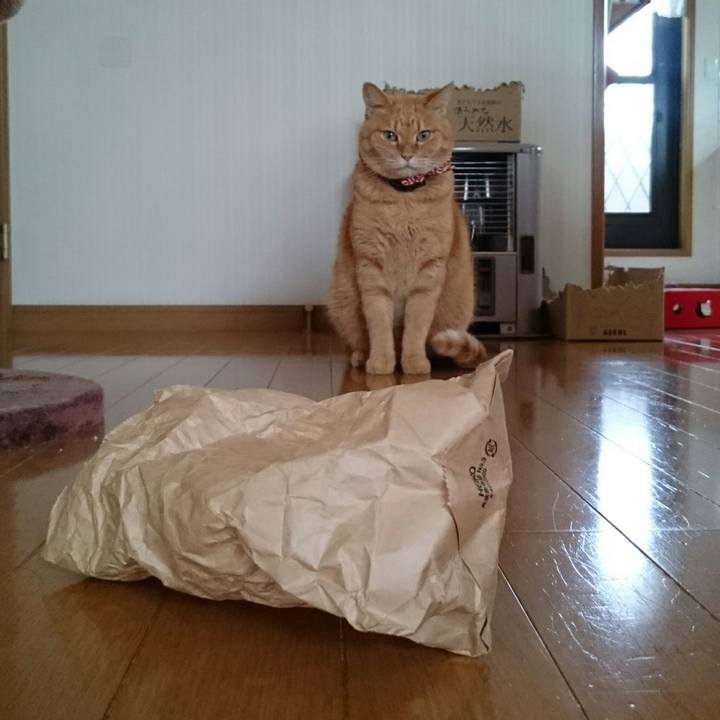 73fc4dbf 835e 44ec a6e7 90fe19b75d50